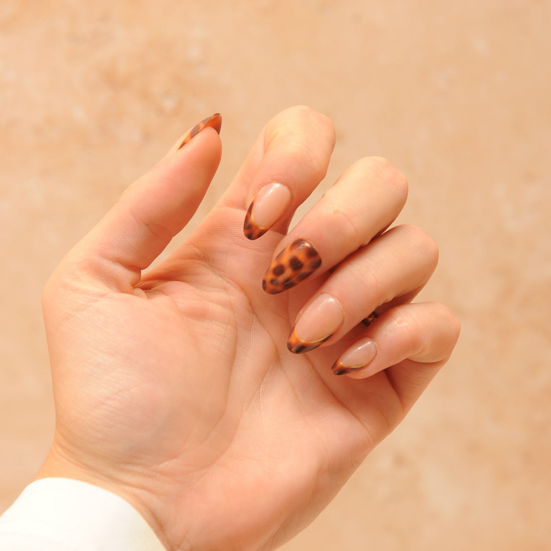 Wild Chic